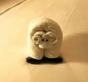 ピグの画像