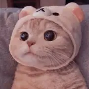 べべの画像