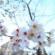 amitanᙏ̤̫ ❤︎の画像