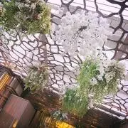 ゆんの画像