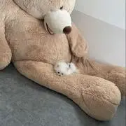 もふ