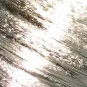 ニカイドウ