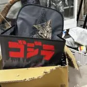 J  H