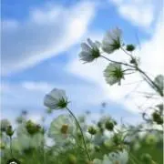 ma_24の画像