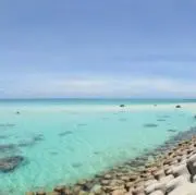 aoiの画像