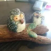 やっち