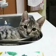 りょー