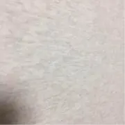 【即買OK、お値下げNG】不思議な館の画像