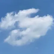 PGSLの画像