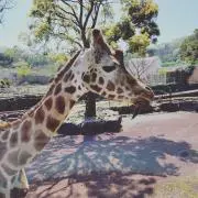 yu-yaの画像