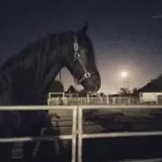 まいる(プロフ必読)の画像