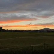 ゆめめの画像