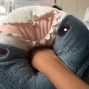 しっぽの画像
