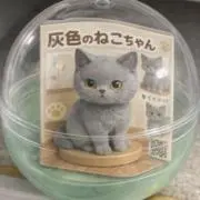 ノアコの画像