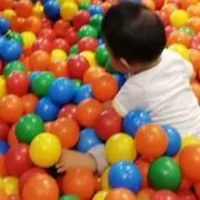 ニコの画像