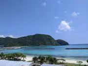 aoの画像