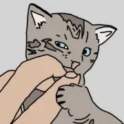 ※値下交渉はプロフ参照※ Coccoの画像