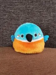 ウセル