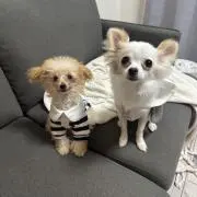 まぬ