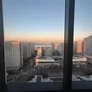 もっちゃんの画像