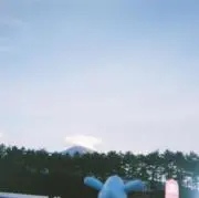 ハネの画像