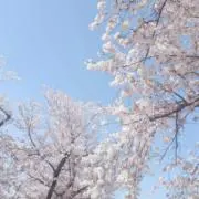 ゆうきの画像