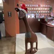 Garyの画像