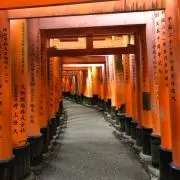 AA