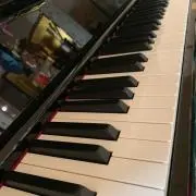 ハルヒロの画像