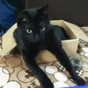 ◇ひーちゃん◇