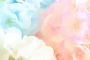 みーの画像