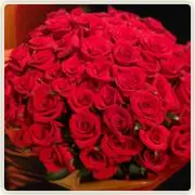 roseの画像
