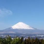 シグ