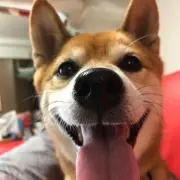 まるた