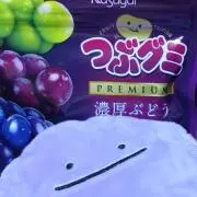 ブドウグミの画像