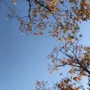E…の画像