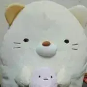 歌織の画像