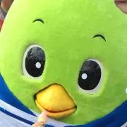 とりぴーの画像
