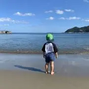 きなこの画像