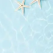 さくら