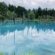 ミライの画像