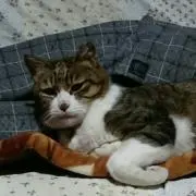 もも★プロフィール必読