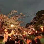 パリパリの画像