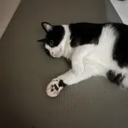 no!man!の画像