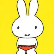 ʀɪᴍの画像