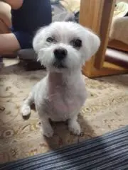 加藤のパン