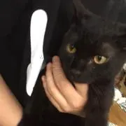 ふゆき