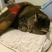 神さーま