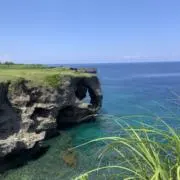 めだまやきの画像