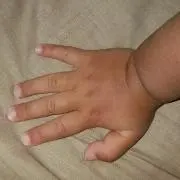 珊瑚の画像